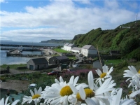 'Garden vista', Anne Ford